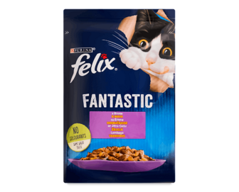 Корм для котів Felix Fantastic з ягням в желе, 85г