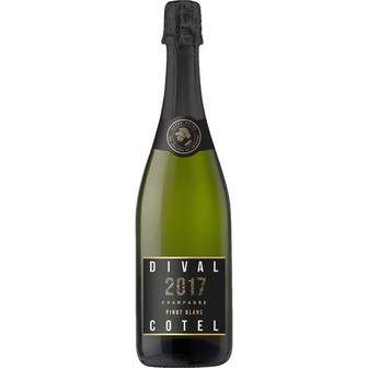 Шампанське Dival Cotel AOP Pinot Blanc vintaged біле брют 12% 0,75л 