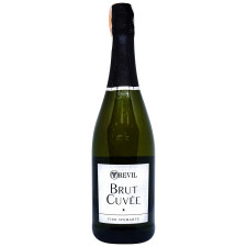 Вино ігристе Brut Spumante Trevil біле брют 0.75 л 11.0% mini slide 1
