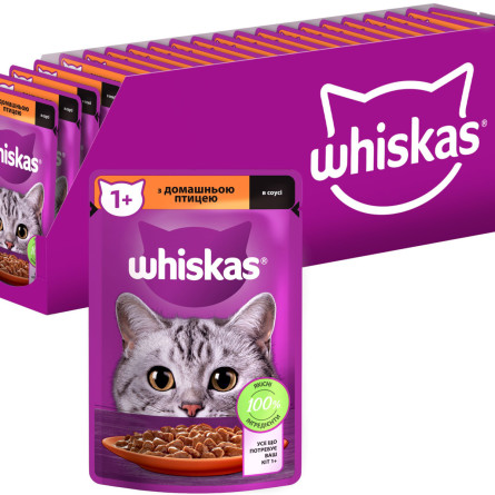 Упаковка вологого корму для кішок Whiskas домашній птах у соусі 28 шт х 85 г