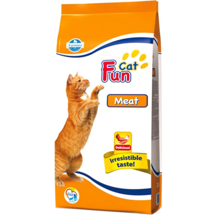Сухой корм для взрослых кошек Farmina Fun Cat Meat с курицей 20 кг slide 1