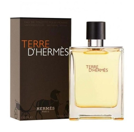 Туалетна вода для чоловіків Hermes Terre d'Hermes 100 мл