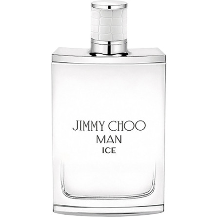 Туалетная вода для мужчин Jimmy Choo Man Ice 100 мл slide 1