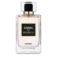 Парфумована вода для жінок Fragrance World Canal De Moiselle Intense аналог Chanel Coco Mademoiselle Intense 100 мл mini slide 1