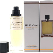 Парфумована вода для чоловіків Morale Parfums Terre Adams версія Hermes Terre d'Hermes 30 мл mini slide 1