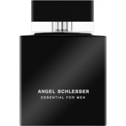 Тестер Туалетная вода для мужчин Angel Schlesser Essential for Men 100 мл