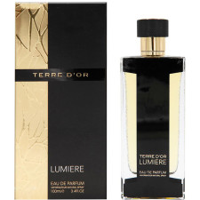 Парфумована вода для чоловіків Fragrance World Terre D`Or Lumiere 100 мл mini slide 1