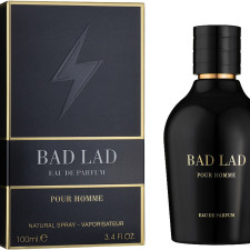 Парфумована вода для чоловіків Fragrance World Bad Lad 100 мл mini slide 1