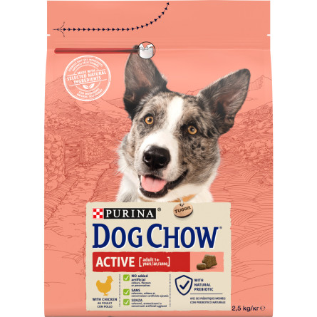 Сухий корм для активних та робочих собак Dog Chow Active з куркою 2.5 кг slide 1
