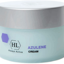 Денний крем Holy Land Azulene Day Cream 250 мл mini slide 1