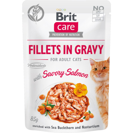 Влажный корм для кошек Brit Care Cat pouch пикантный лосось 85 г slide 1