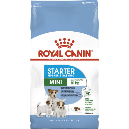 Сухий корм для собак Royal Canin Mini Starter дрібних порід у період вагітності та лактації 1 кг (96012) (2990010)