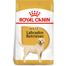 Сухой полнорационный корм для собак Royal Canin Labrador Retriever Adult породы лабрадор ретривер в возрасте от 15 месяцев 12 кг (2487120) mini slide 1