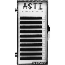 Вії для нарощування Asti Hylon Lash C 0.07 мм x 9 мм 10 ліній Чорні mini slide 1