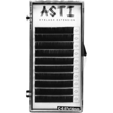 Вії для нарощування Asti Hylon Lash C 0.07 мм x 14 мм 10 ліній Чорні mini slide 1
