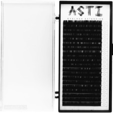 Вії для нарощування Asti Hylon Lash C 0.05 мм х 9 мм 20 ліній Чорні mini slide 1