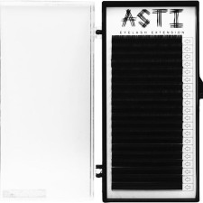 Вії для нарощування Asti Hylon Lash CC 0.07 мм x 10 мм 20 ліній Чорні mini slide 1