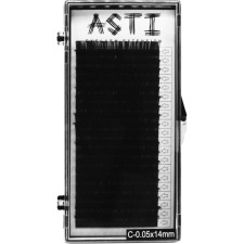 Ресницы для наращивания Asti Hylon Lash C 0.05 мм x 14 мм 20 линий Черные mini slide 1