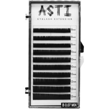 Вії для нарощування Asti Hylon Lash B 0.07 мм x mix 8-10-12 мм 10 ліній Чорні mini slide 1