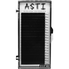 Вії для нарощування Asti Hylon Lash B 0.07 мм x mix 8-13 мм 20 ліній Чорні mini slide 1