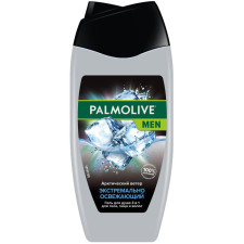 Гель для душу чоловічий Palmolive Men Арктичний вітер 3 в 1 для тіла, обличчя та волосся 250 мл mini slide 1