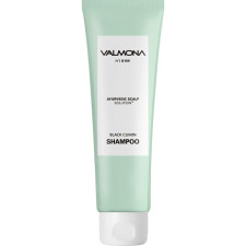 Шампунь для волос Valmona Аюрведа Ayurvedic Scalp Solution Black Cumin Shampoo 100 мл mini slide 1