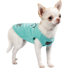 Борцовка для собак Pet Fashion Puppy XS М'ята mini slide 1