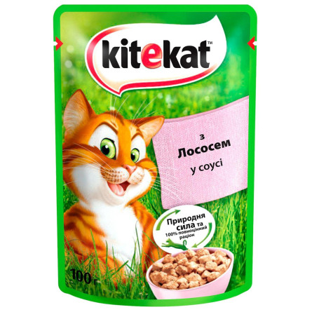 Корм Kitekat с лососем в соусе для взрослых кошек 85г