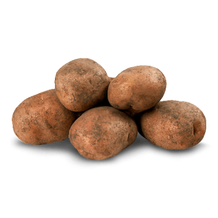 Картопля Беллароса slide 1