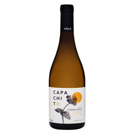Вино Capacapachito Chair біле сухе 13,5% 0,75л slide 1