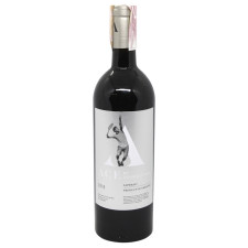 Вино ACE by Stakhovsky Сапераві червоне сухе 12,5% 0,75л mini slide 1