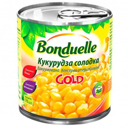 Кукурудза Bonduelle Gold солодка консервована 340г slide 1