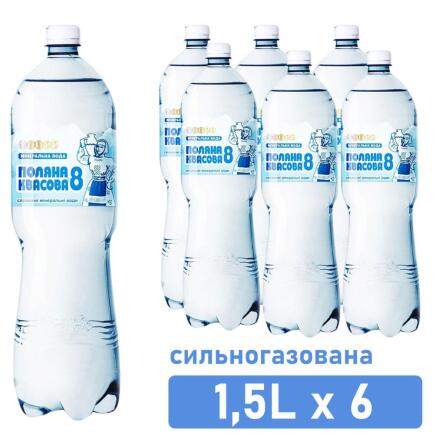 Вода минеральная Поляна Квасова №8 сильногазированная 1,5л