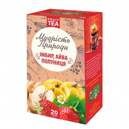 Чай Поліський чай Мудрість Природи Імбир, айва, полуниця імбирно-фруктовий в пакетиках 2г*20шт