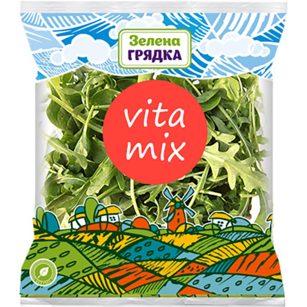 Салатний мікс Зелена Грядка Vita Mix шпинат рукола 100г slide 1