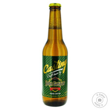 Пиво John Gaspar Casting Craft світле 4.7% 0.33л mini slide 1