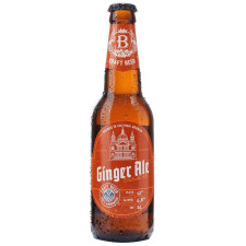 Пиво Волинський Бровар Ginger Ale British Ale світле 4,8% 0,35л mini slide 1