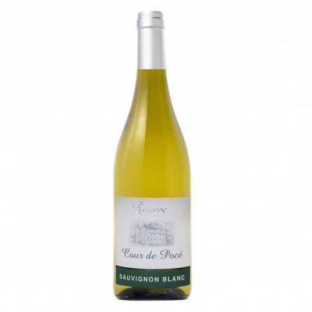Вино Pierre Chainier Cour de Pace Sauvignon blanc белое сухое 0,75л slide 1