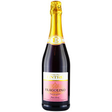 Напиток винный игристый Entre Fragolino Salute Rosso 6,9% 0,75л mini slide 1