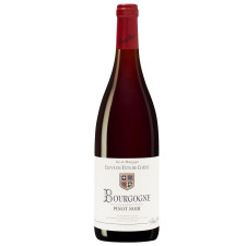 Вино Pierre Chanau Bourgogne Pinot Noir 12% 0,75л mini slide 1