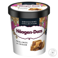 Морозиво Haagen-Dazs крем-праліне 400г mini slide 1