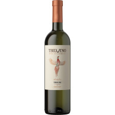 Вино Tbilvino Tbilisi белое сухое 12,5% 0,75л mini slide 1