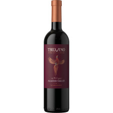 Вино Tbilvino Alazani Valley красное полусладкое 11.5% 0,75л mini slide 1