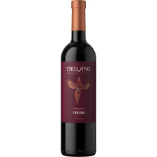 Вино Tbilvino Tbilisi красное сухое 12% 0,75л mini slide 1