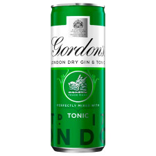 Напій Gordon`s Gin Tonic 5% 250мл mini slide 1