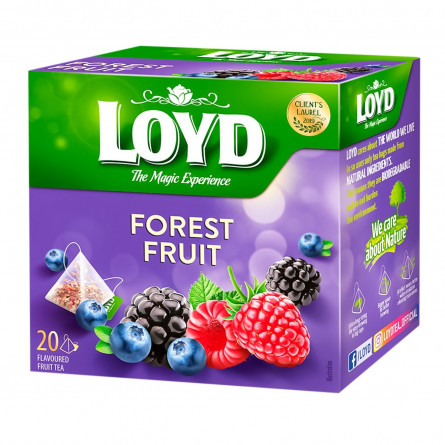 Чай Loyd лесные фрукты фруктовый в пирамидках 20шт*2г slide 1