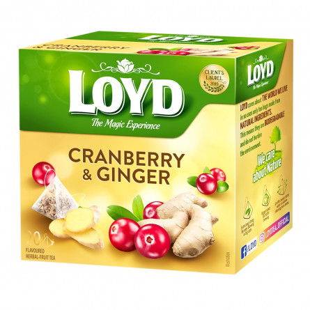 Чай Loyd журавлина та імбир фруктовий в пірамідках 20шт*2г