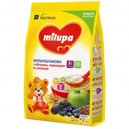 Каша Milupa Nutricia безмолочная мультизлаковая с яблоком, черникой и ежевикой 170г