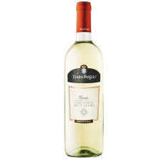 Вино Terre Passeri Garganega Pinot Grigio біле сухе 11,5% 0,75л mini slide 1
