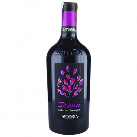 Вино Astoria Icona cabernet Sauvignon Venezia D.O.C. красное сухое 13% 750ml slide 1